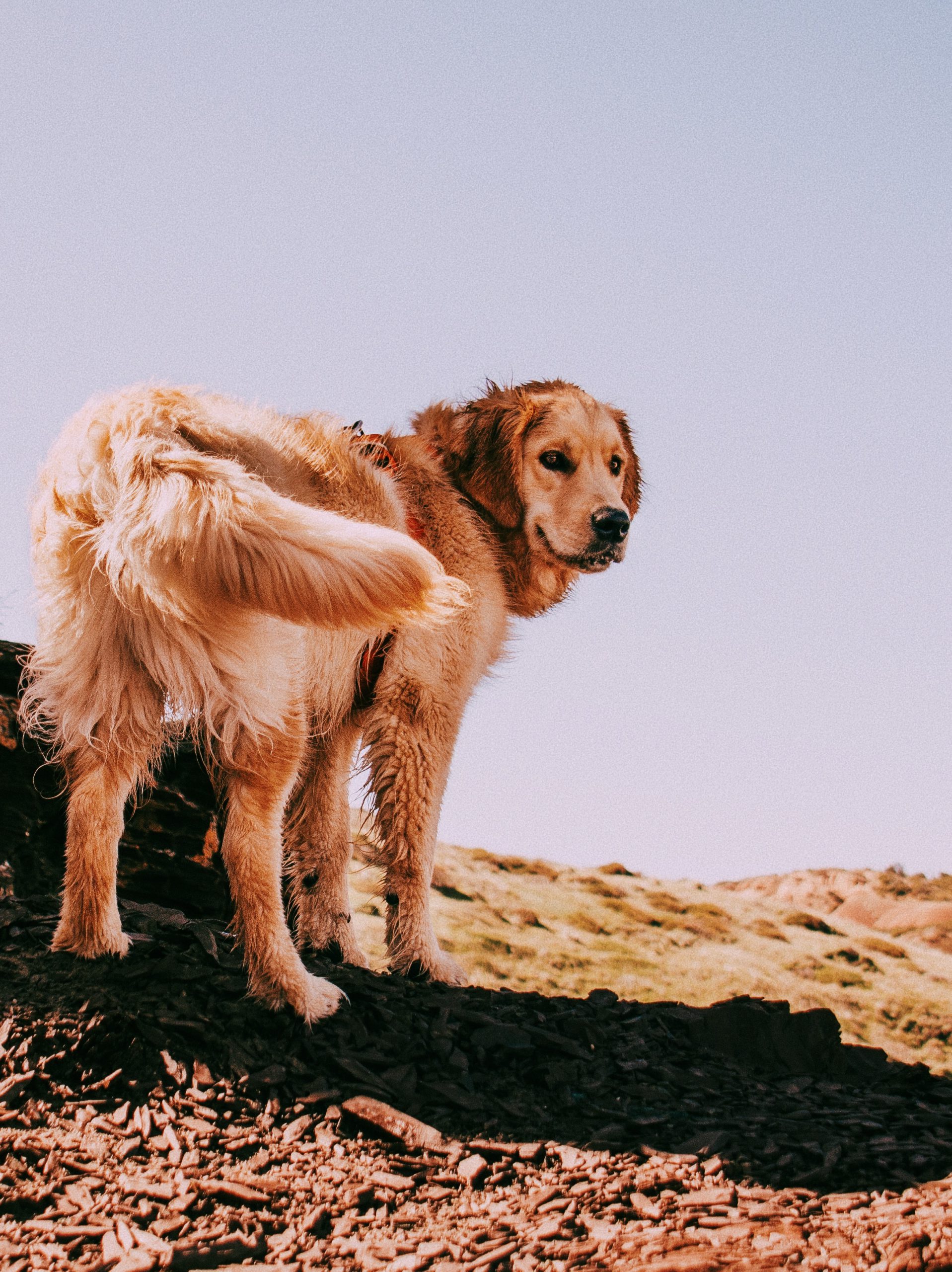 Processed with VSCO with c1 preset